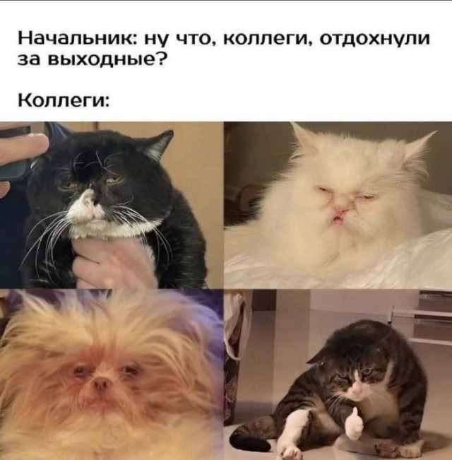 Картинки для деградации 177 (разной степени свежести)