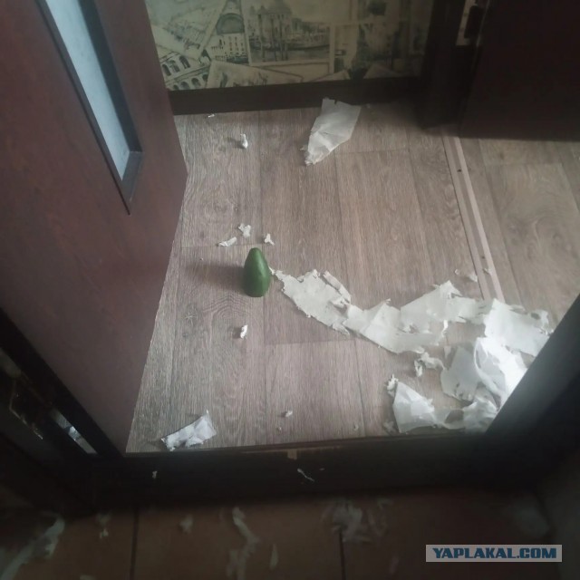 Милые "преступники"