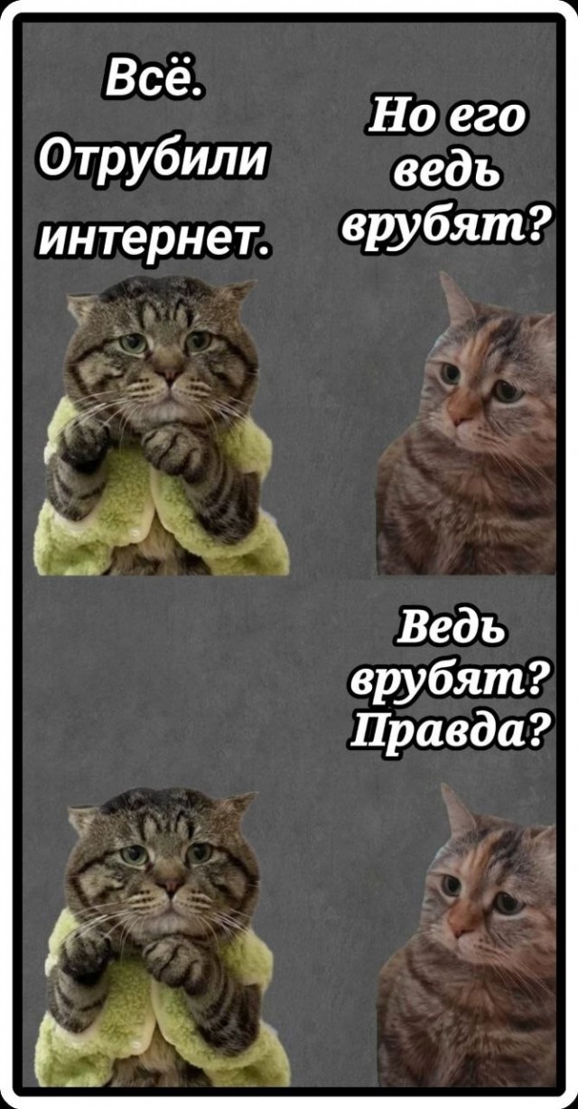 Фотожаба: Грустный котик
