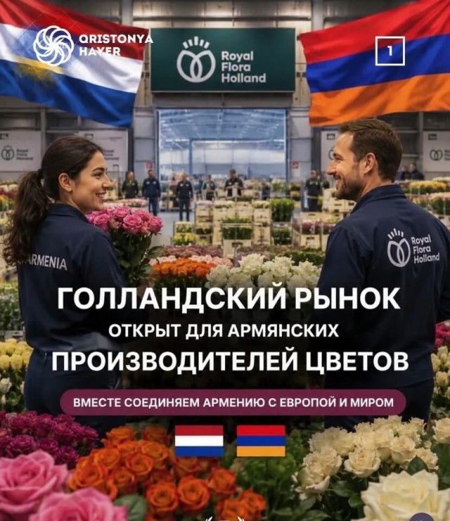 Ну все, песдетс нидерландцам-голландцам