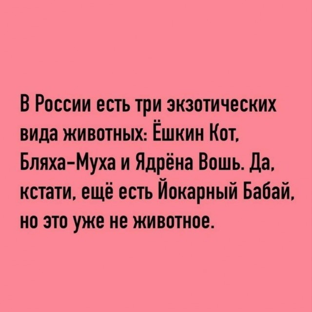 Веселые картинки в пятницу (21.08)