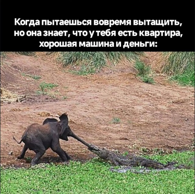 Картинки для деградации 272 (разной степени свежести)