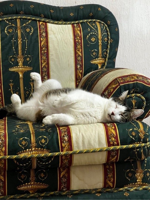 Жижнь удалась