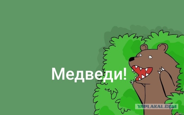 Достали медведи на япе 2