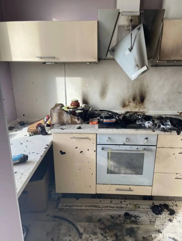 Кот устроил взрыв в квартире в Одинцово, пока хозяев не было дома