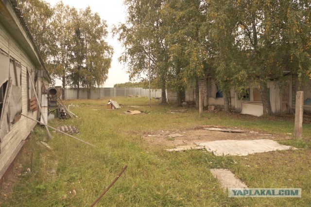 Заброшенный лагерь "Спутник", Вологодская область.