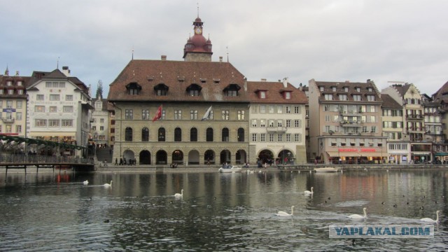 В поисках музея ПрофессораПлейшнера