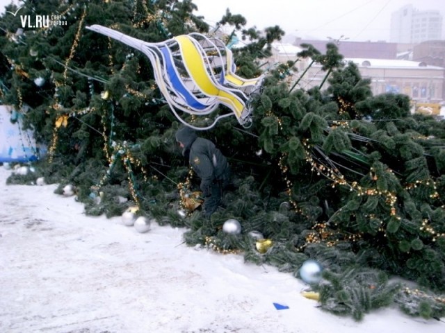 Главная елка Владивостока рухнула