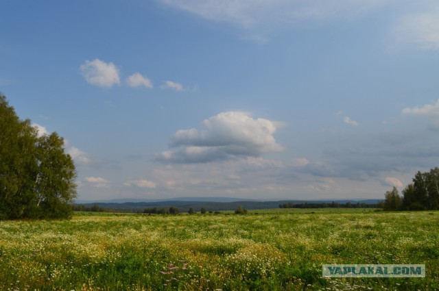 Сын фотографа делает удивительные снимки