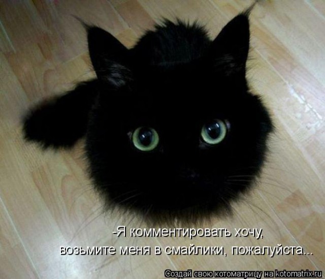Пятничная подборка для поднятия настроения