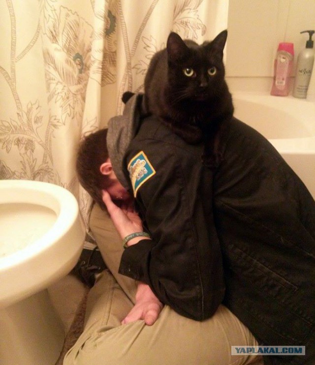 Картинки на выходные