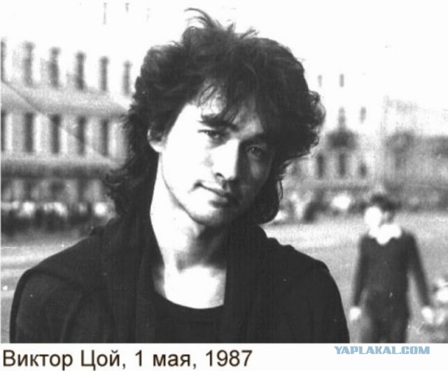 Добряки, плюсующие всех подряд