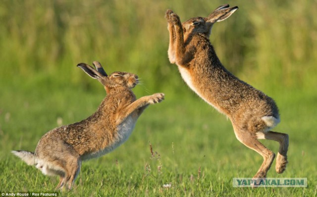 Весь Мир и Вселенная числовая матрица