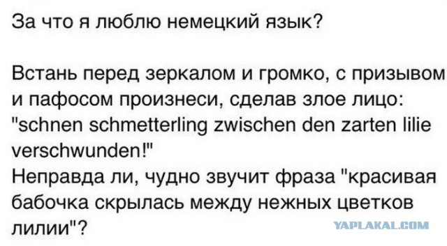 Немного картинок и юмора