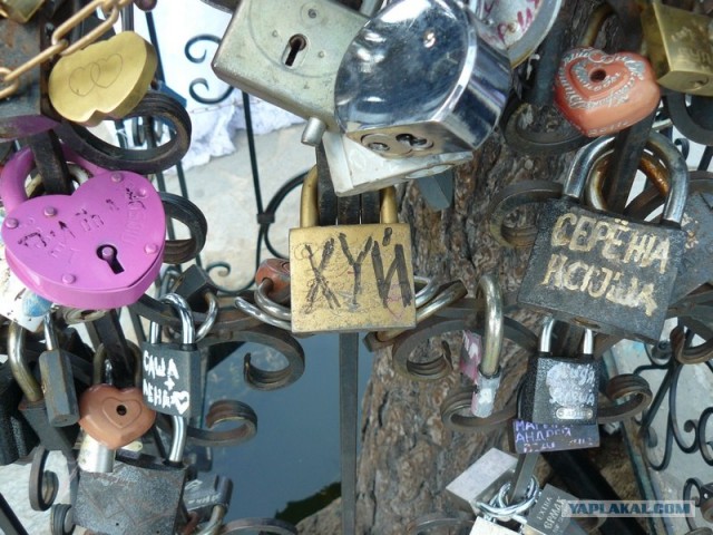 Совет да любовь