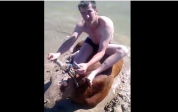 Их тяжело назвать людьми.