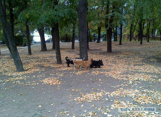 Про город хороший, короткий рассказ