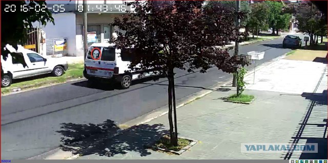 За что я люблю китайцев