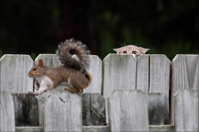 Подборка картинок 29.03.16
