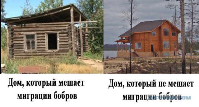 Озеро, около которого разрушили дом старика ради "миграции бобров", передано на 25 лет семье члена Совета Федерации