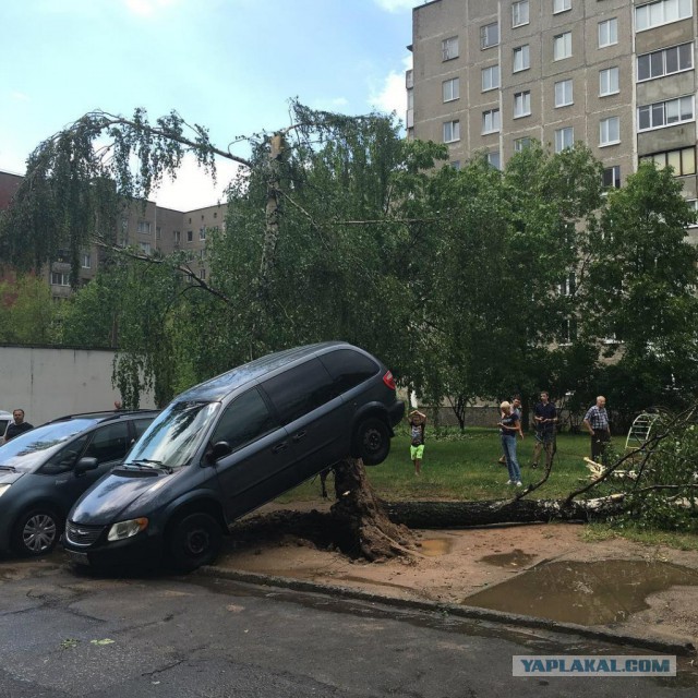 Тачки разбитые ураганом в Минске сегодня. Оригинальные отборные фото!