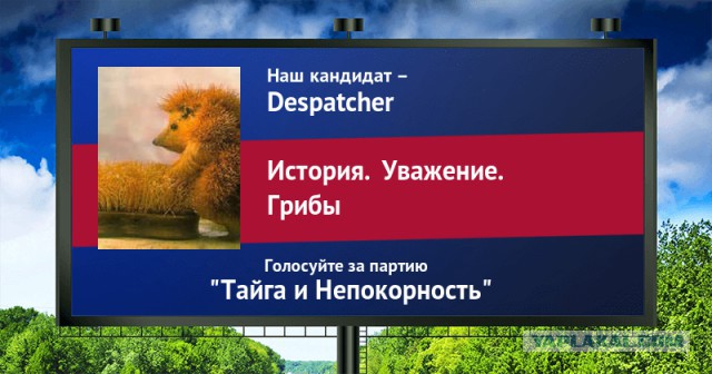 Стань кандидатом от ЯПа