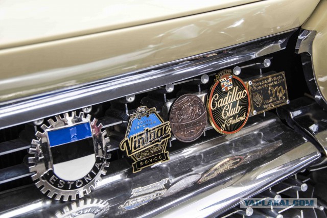 Фестиваль автотюнинга в Краснодаре - Редкие автомобили (Обзор)