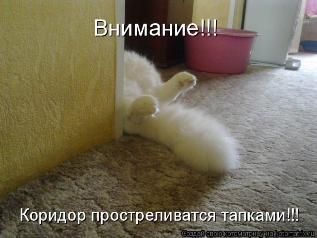Вот подлец!