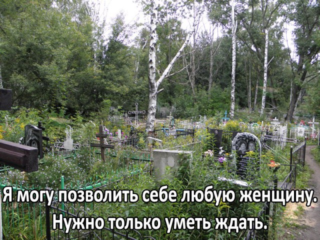 Бредятина и адский расколбас к выходным