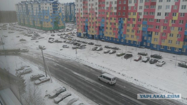 Мир, труд, май! на улице -2, еще час назад была зеленая трава и ясное небо! Сибирь!