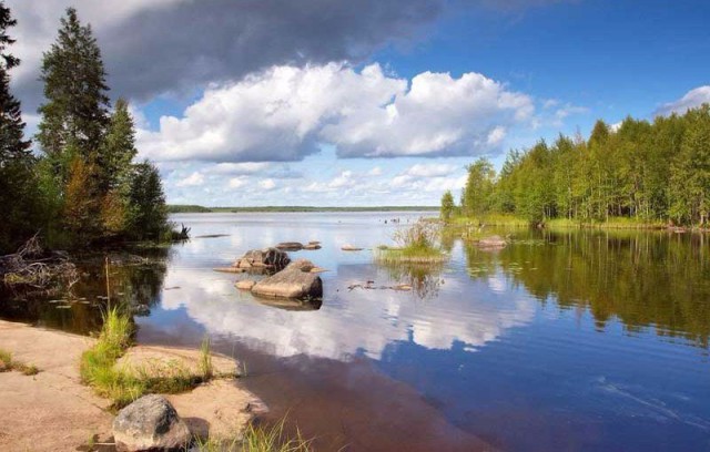 Фото интересные и не только