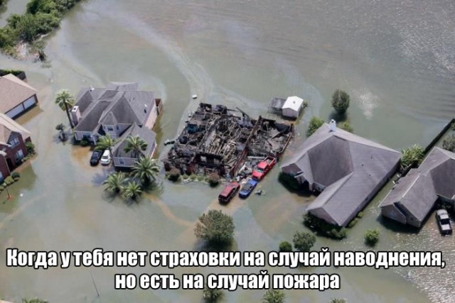 150 картинки для поднятия настроения!