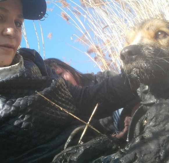 Девчонки, рискуя жизнью, спасли собаку из «илистого плена»
