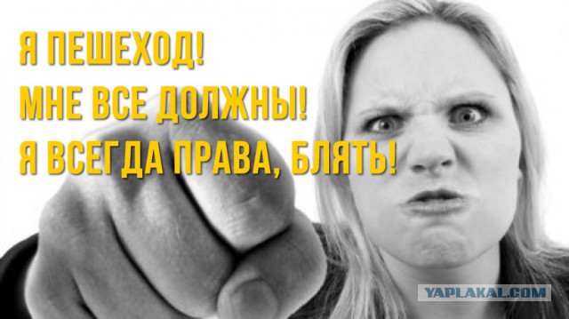 ДПС штрафует пешеходов на "зебре"! Бальзам на душу водителей
