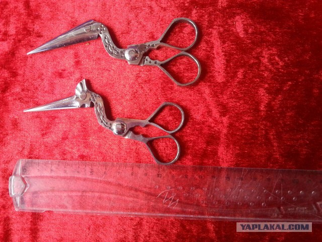 Продам Пчаки