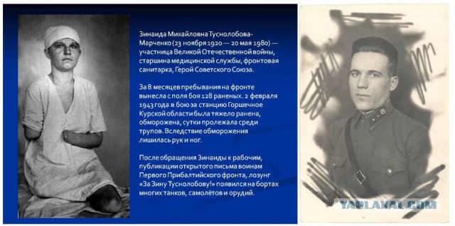 Милый мой, дорогой Иосиф!