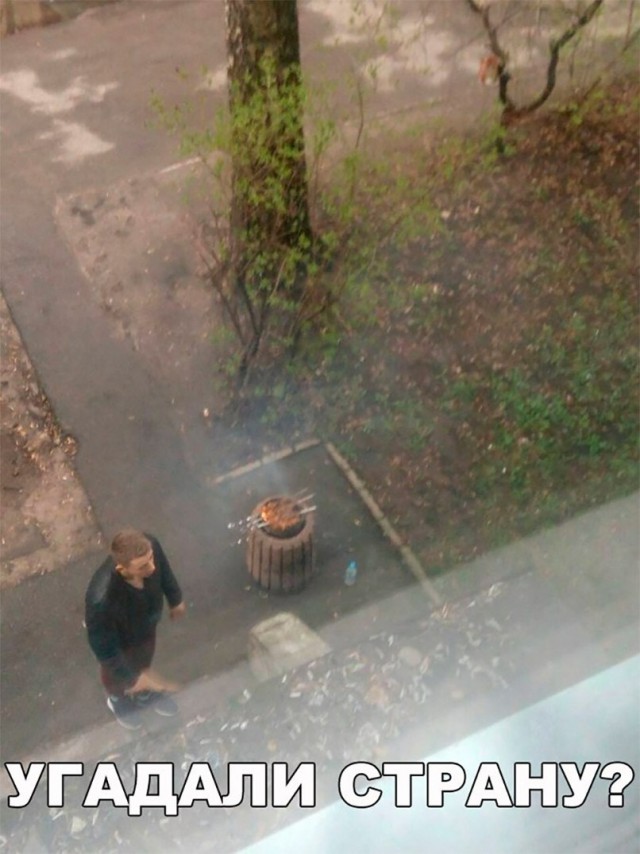 Прикольные картинки обо всем