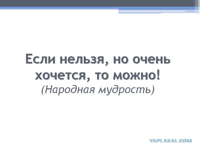 Путь на Каргополь через Вологодскую область отрезан!