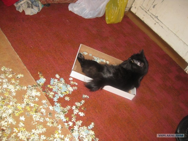КОТовторник 13.04.2010г.