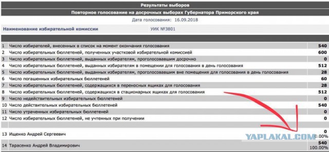 Кандидат от КПРФ стал лидером во втором туре выборов в Приморье