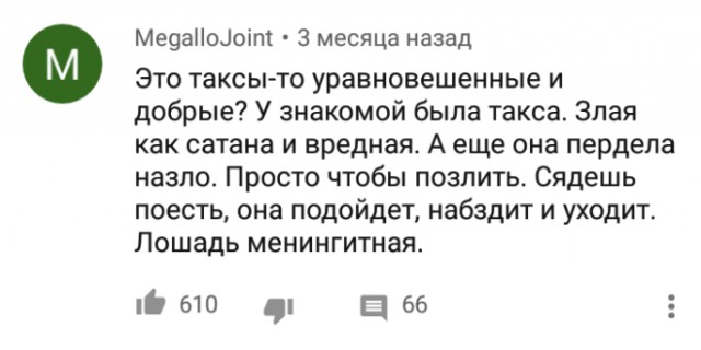 Смешные комментарии из социальных сетей 02.11.2018