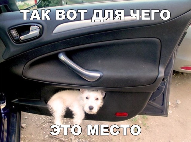 Нестандартный юмор