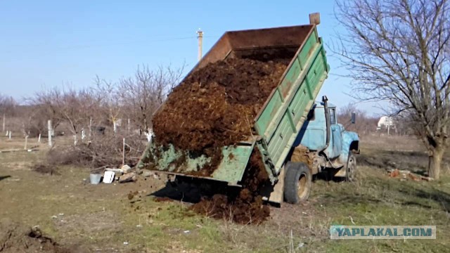 Перекупщики разбушевались: на концерт Пугачевой за 150-200 тысяч