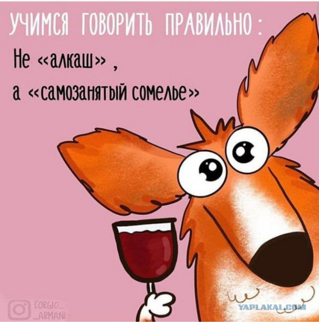 Кривые зеркала