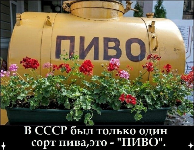 Картинки с надписями и анекдоты 24.7.19
