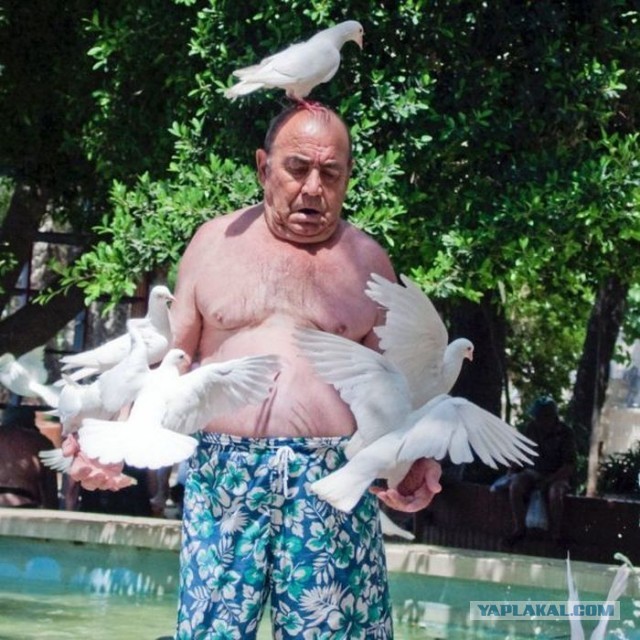Помыл дроссель