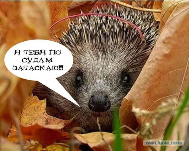 Колешься лох