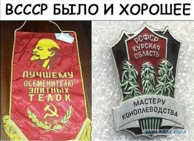 Ели и радовались: странные и «ужасно вкусные» перекусы советских времен