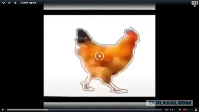 Кому нечем заняться: ловите курицу, нажимая на паузу