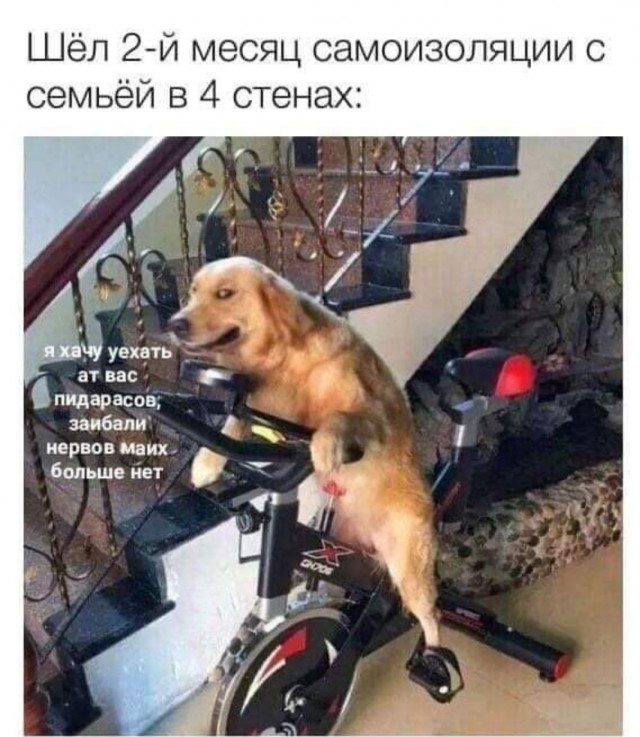 Бредзона 12.05.2020